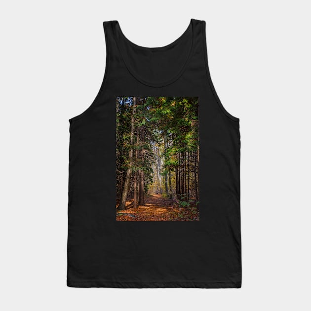 Tall Evergreen Trail Tank Top by andykazie